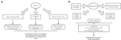 Global burden of non-communicable chronic diseases associated with a diet low in fruits from 1990 to 2019